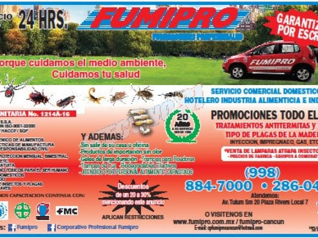 Fumigaciones Profesionales en Cancun