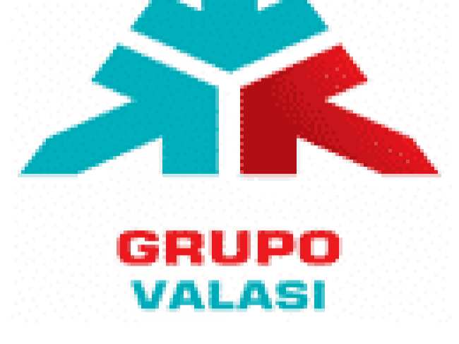 Grupo Valasi S.A de C.V.