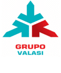 Grupo Valasi S.A de C.V.