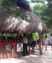Tours Economicos en Cancun