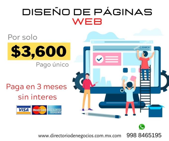 Diseño de Paginas Web Profesional