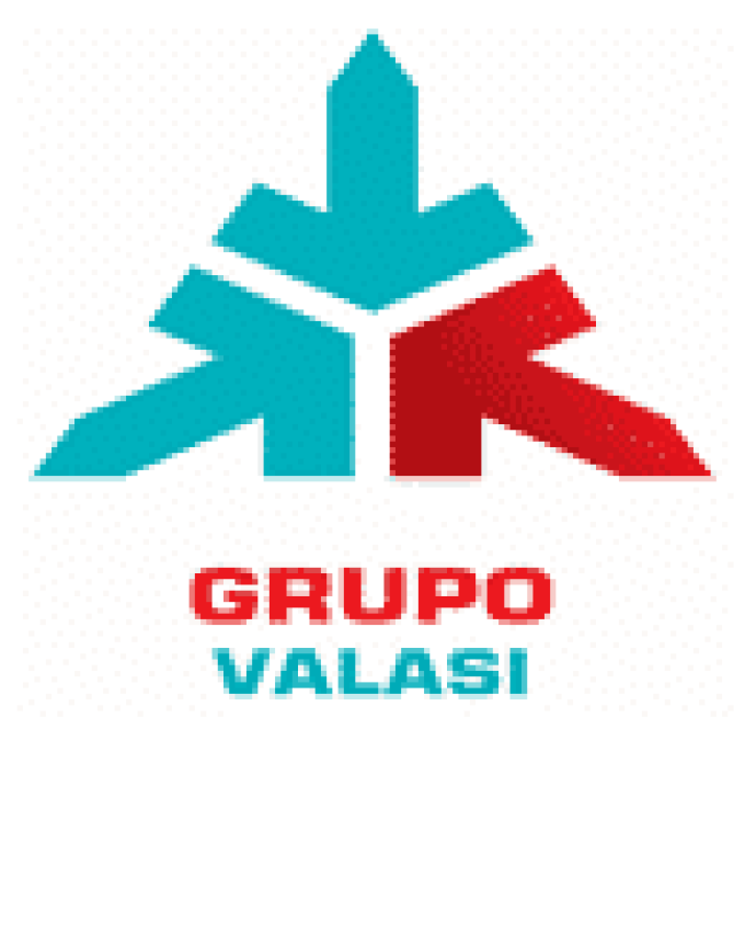 Grupo Valasi S.A de C.V.