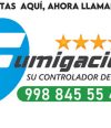 fumigaciones en cancun