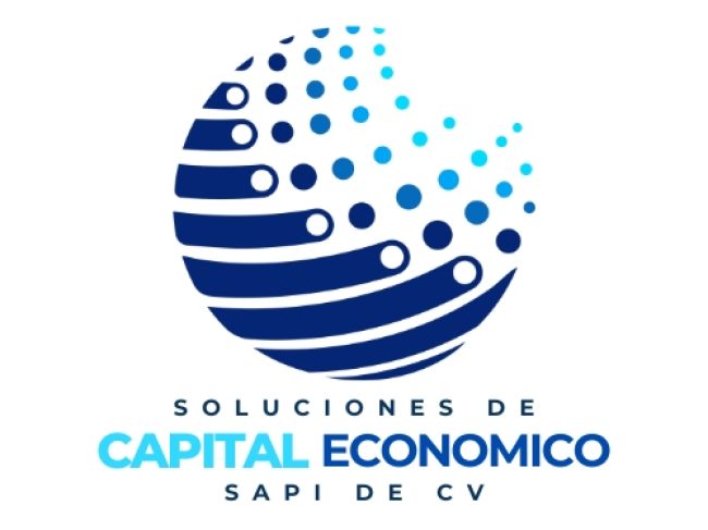 Organización financiera automotriz