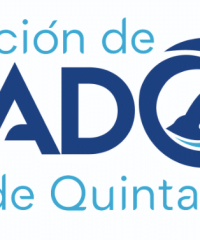 Nadadores de Quintana Roo