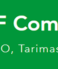 SF Comercial Pallets