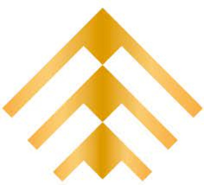 Tecum Agente de Seguros y Finanzas