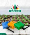 KUTURABI