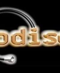 CODISEI S.A de C.V