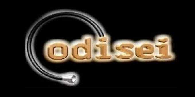 CODISEI S.A de C.V