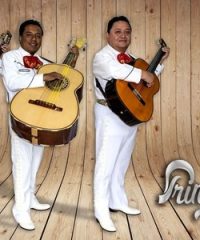 Musica para eventos cancun