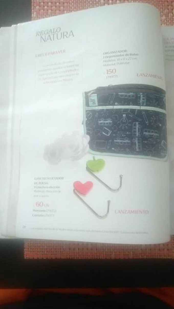 Organizador para Bolsa