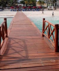 Palapas y Muelles Real en Playa del Carmen