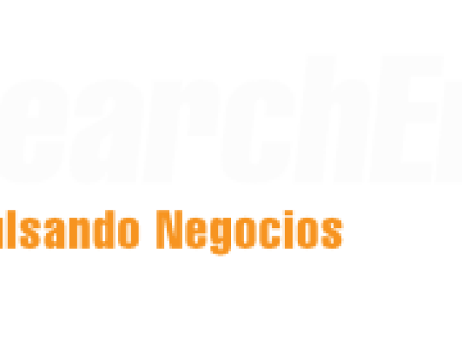 SearchEngineOp SEO México