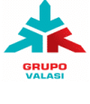 Grupo Valasi S.A de C.V.