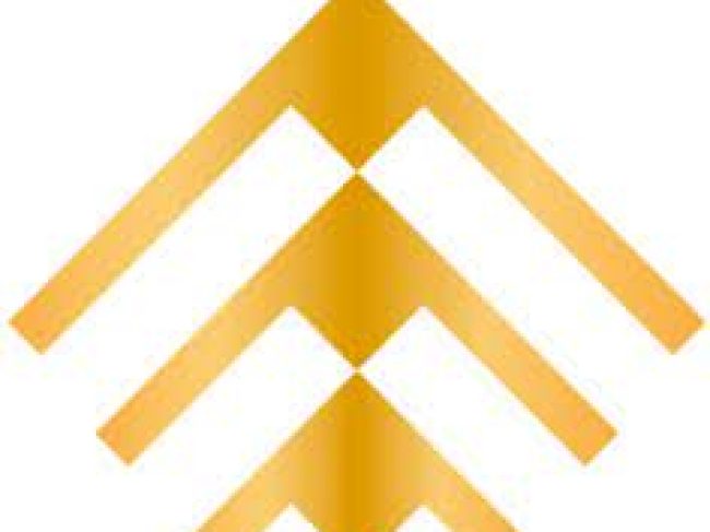 Tecum Agente de Seguros y Finanzas