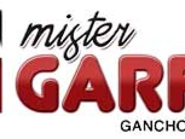 Mr Garfio