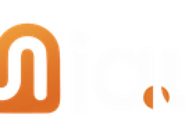 IA University